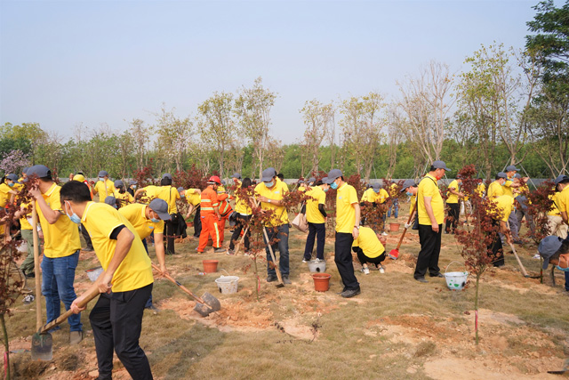 图片1.jpg 图片1.jpg